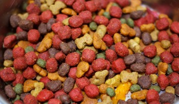 A Fruitcake Not Fit For Dogs